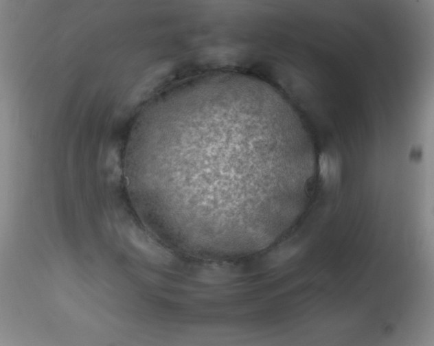 X0000113641203200910021908