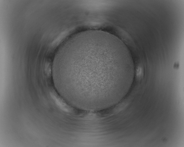 X0000113641204200910021908