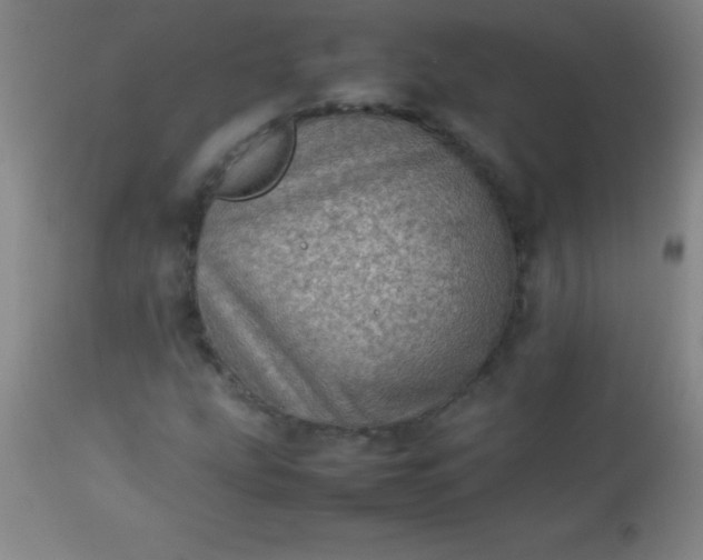 X0000113641207200910021908