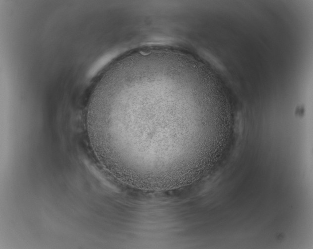 X0000113641208200910021908