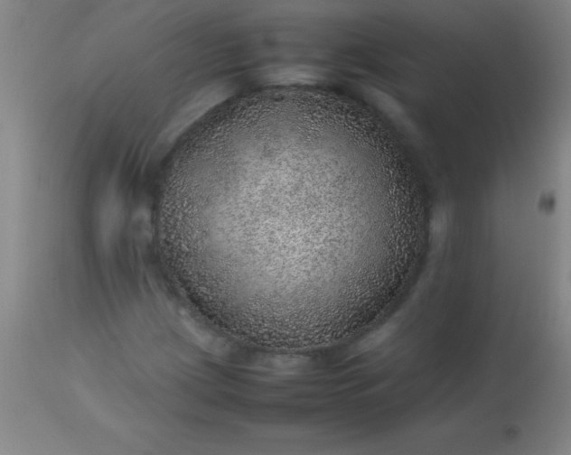 X0000113641209200910021908