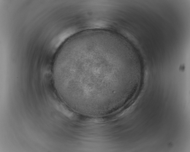 X0000113641210200910021908