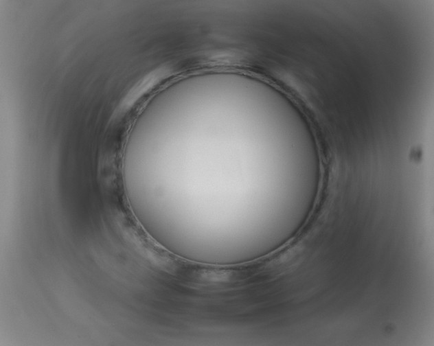 X0000113641211200910021908