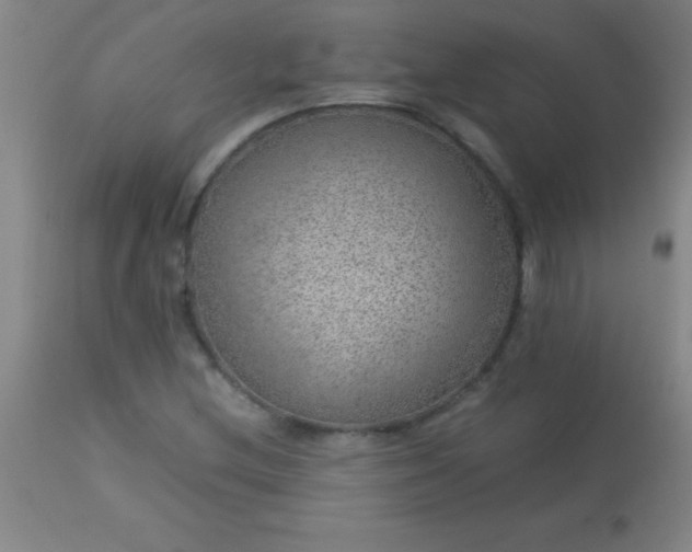 X0000113641212200910021908