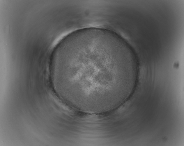 X0000113641214200910021908