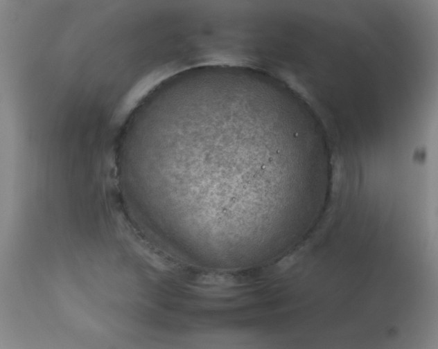 X0000113641215200910021908