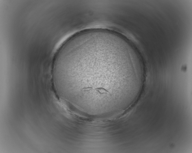 X0000113641216200910021908