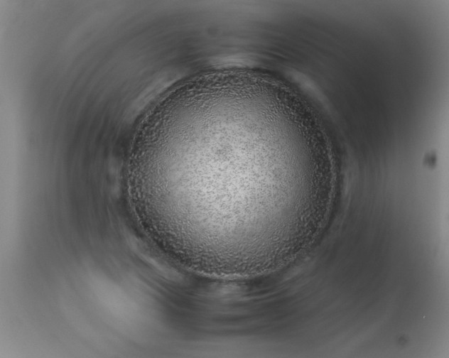 X0000113641217200910021908