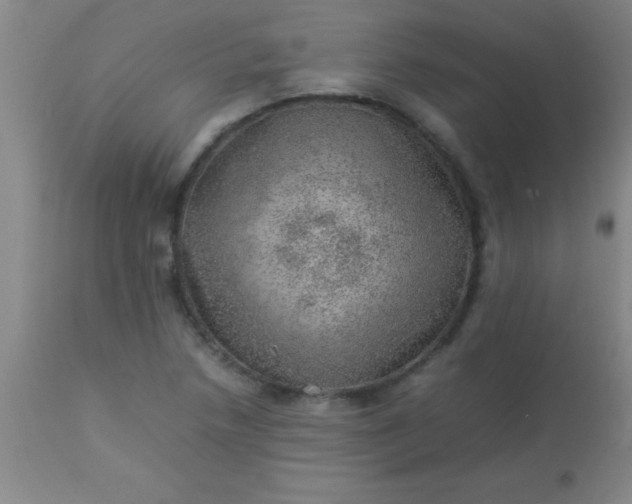 X0000113641218200910021908