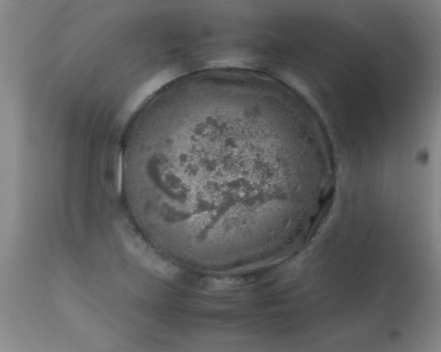 X0000113641219200910021908