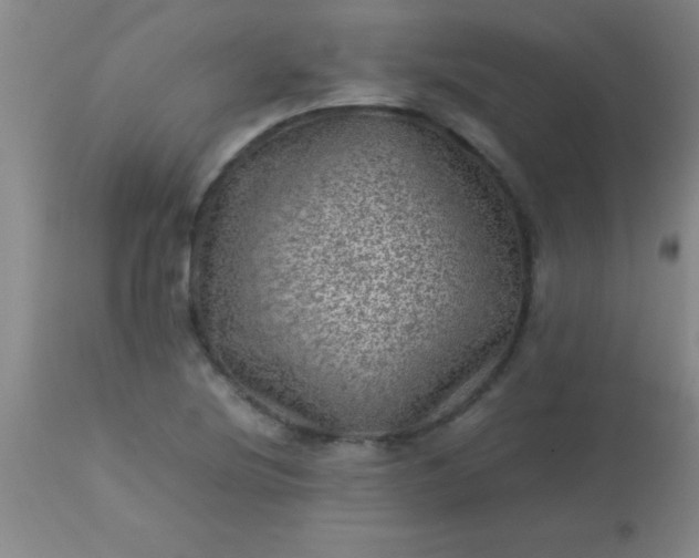 X0000113641220200910021908