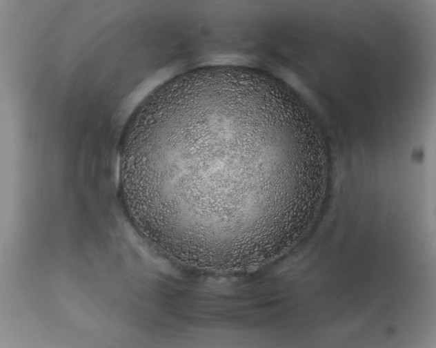 X0000113641221200910021908