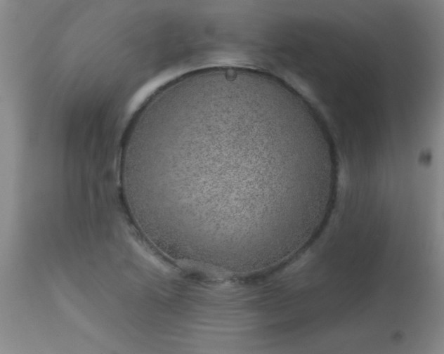 X0000113641222200910021908