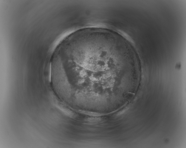 X0000113641223200910021908