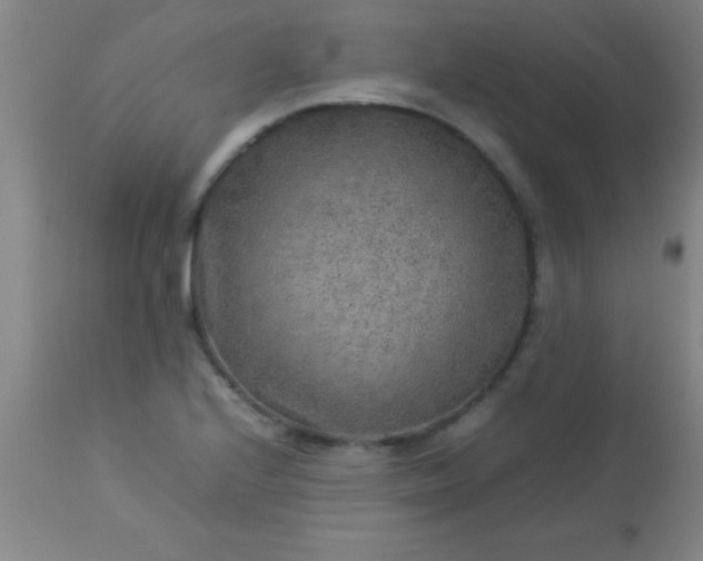 X0000113641224200910021908