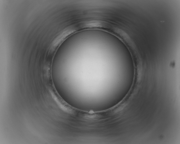 X0000113641225200910021908