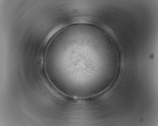 X0000113641226200910021908