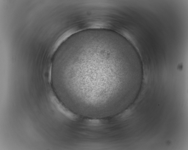 X0000113641227200910021908