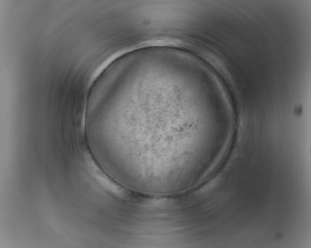 X0000113641228200910021908