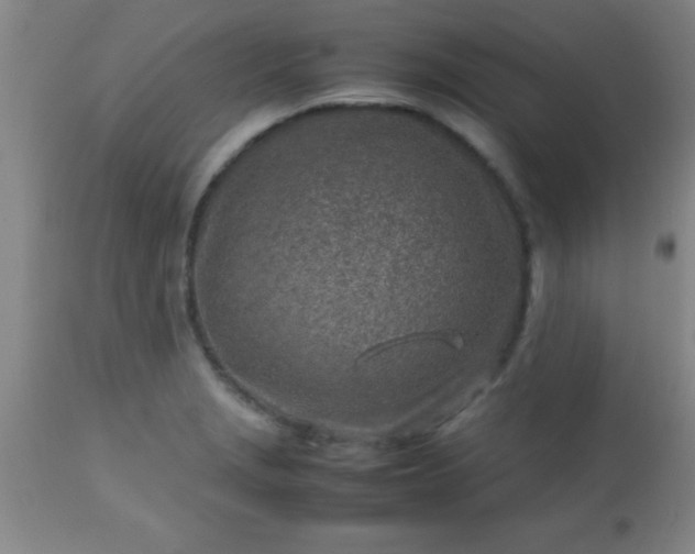 X0000113641229200910021908