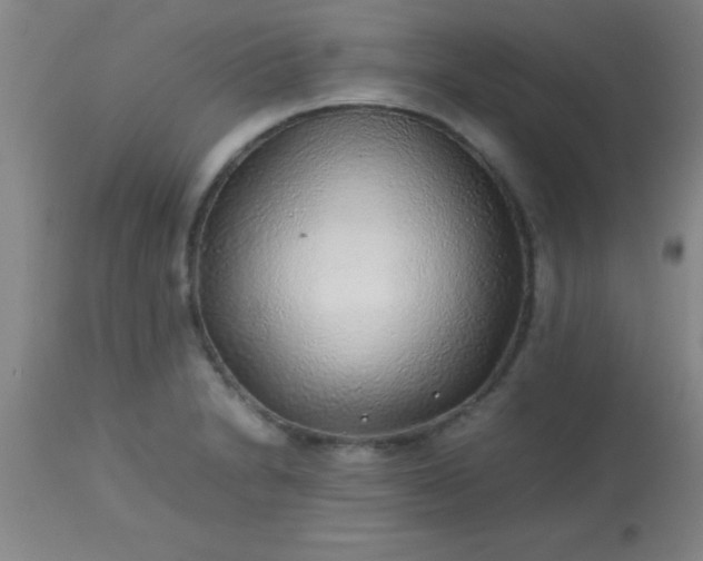 X0000113641230200910021908