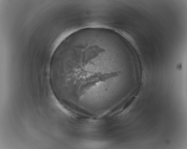 X0000113641231200910021908