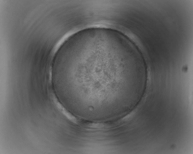 X0000113641232200910021908