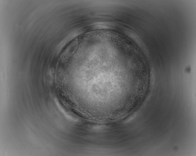 X0000113641233200910021908