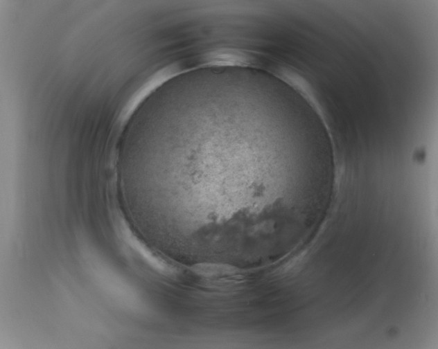 X0000113641235200910021908