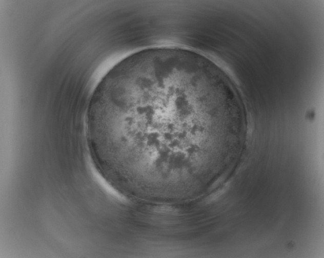 X0000113641239200910021908