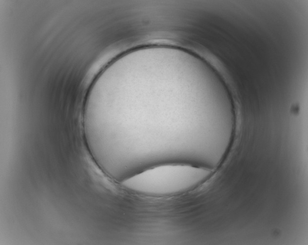 X0000113641240200910021909