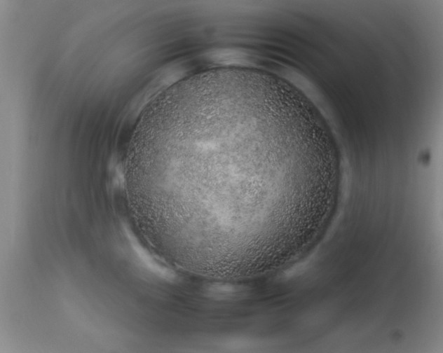 X0000113641241200910021909