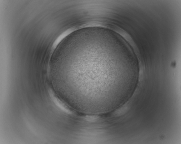 X0000113641242200910021909