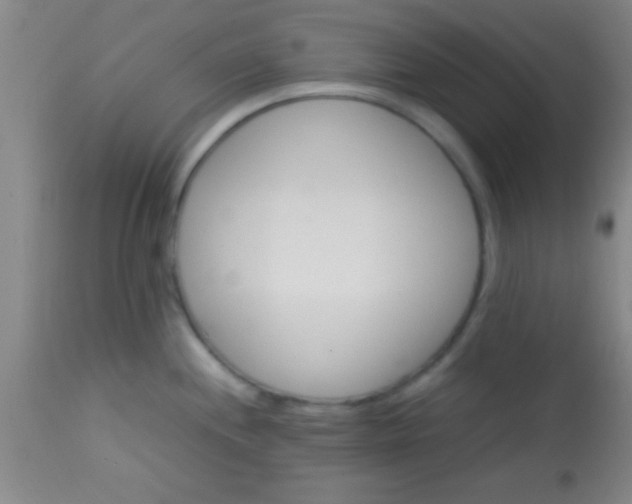 X0000113641244200910021909