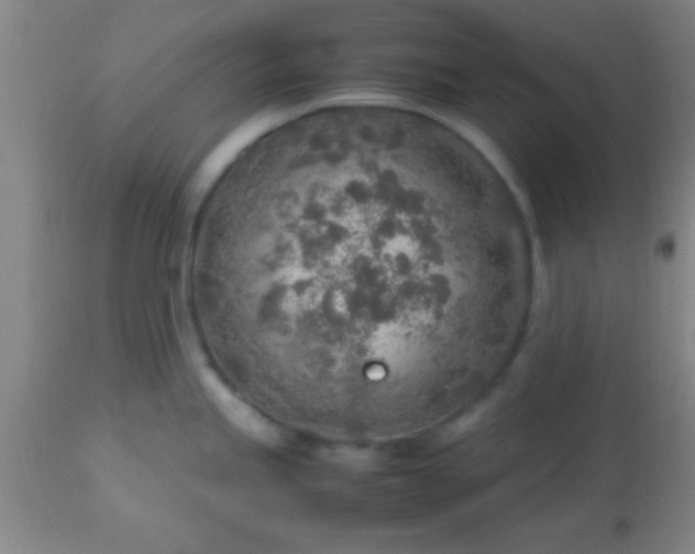 X0000113641245200910021909