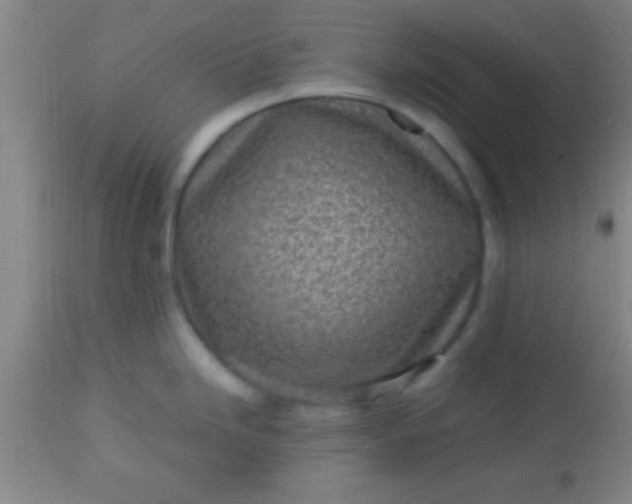 X0000113641246200910021909