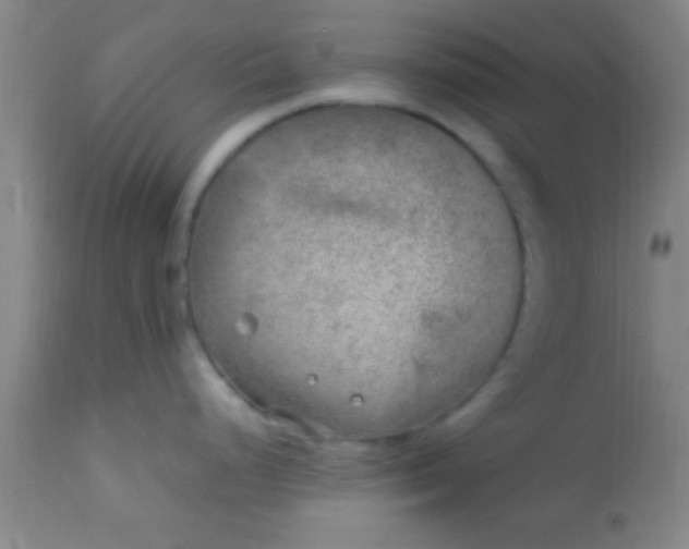 X0000113641248200910021909