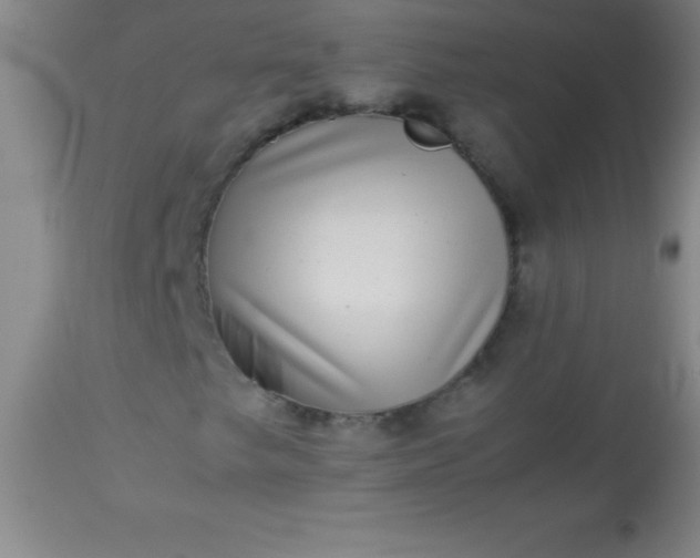 X0000113641249200910021908