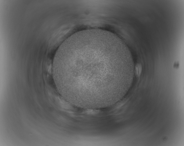 X0000113641251200910021908