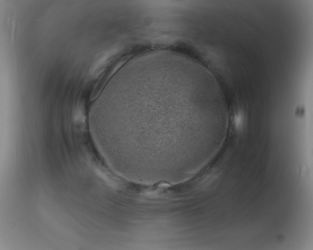 X0000113641252200910021908