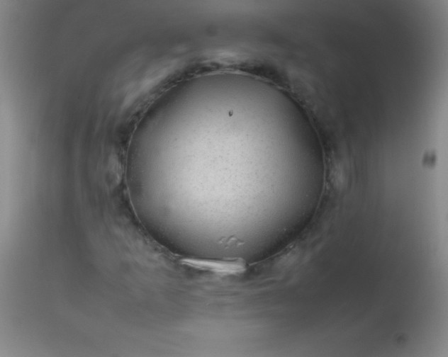 X0000113641253200910021908