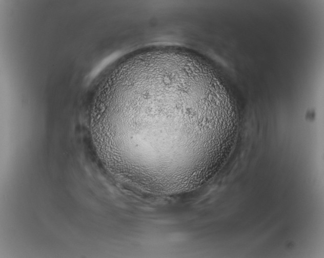 X0000113641255200910021908