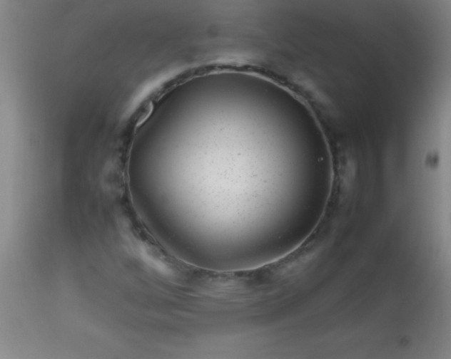 X0000113641256200910021908