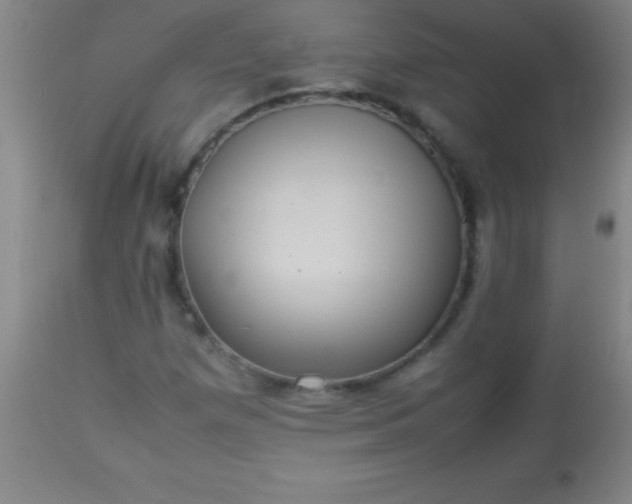 X0000113641257200910021908