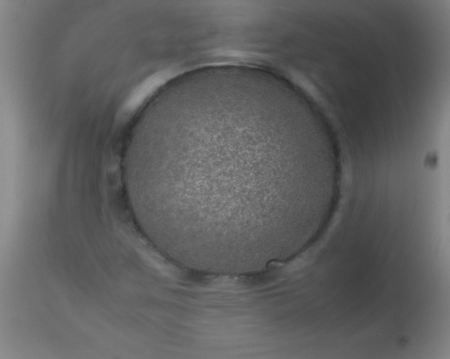 X0000113641259200910021908