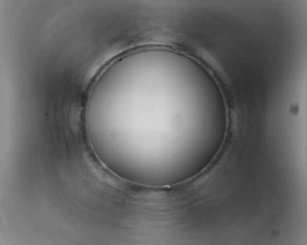 X0000113641260200910021908