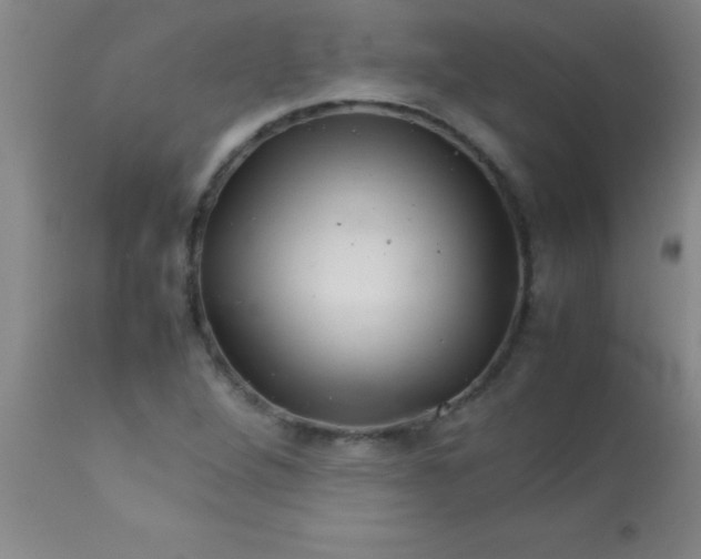 X0000113641264200910021908