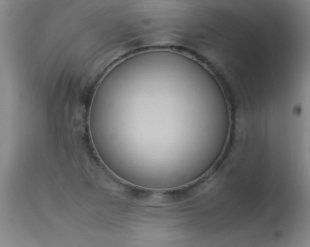 X0000113641265200910021908