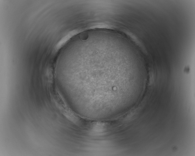 X0000113641266200910021908