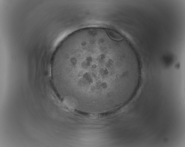 X0000113641267200910021908